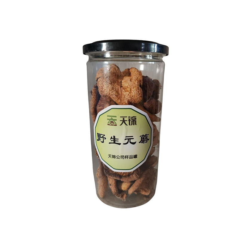 Wild Mushroom
